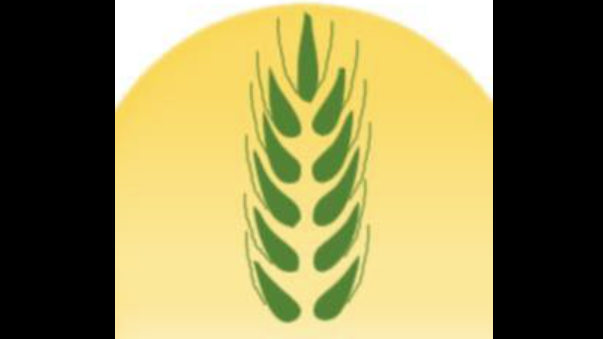 Business Image
